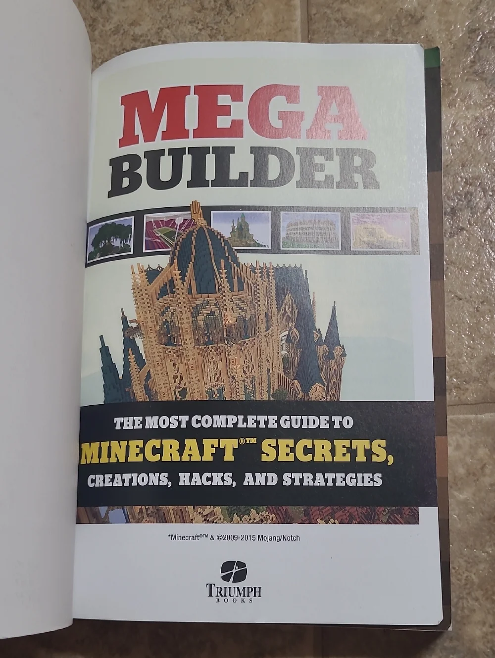 Mega Builder: Minecraft Secrets Guide